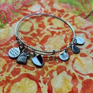 Silver Tone Alex and Ani Game Of Thrones Charm Bracelet
